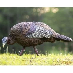 Avian-X Turkey Decoy LCD Feeder Hen AVX8007 -Hunting shops AvianX 08007 Avian X Turkey Decoy LCD Feeder Hen AVX8007 Pic