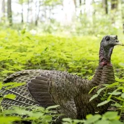 Avian-X Turkey Decoy LCD Laydown Hen AVX8011 -Hunting shops AvianX 08011 Avian X Turkey Decoy LCD Laydown Hen AVX8011 Pic