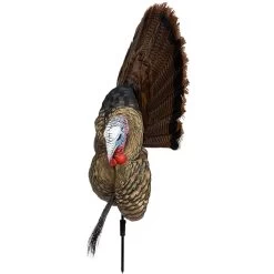 Avian-X Turkey Decoy Trophy Tom 2D AVX8021 -Hunting shops AvianX 08021 Avian X Turkey Decoy Trophy Tom AVX8021 Left Side