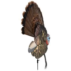 Hunting shops -Hunting shops AvianX 08021 Avian X Turkey Decoy Trophy Tom AVX8021 Side