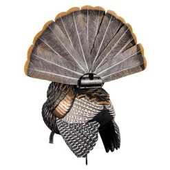 Hunting shops -Hunting shops AvianX 08108 Avian X Turkey Decoy HDR Strutter AVX8108 Back