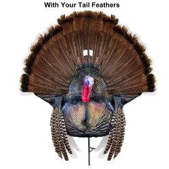 Hunting shops -Hunting shops Montana 00077 Montana Decoy Wiley Tom Turkey 0077 Feathers
