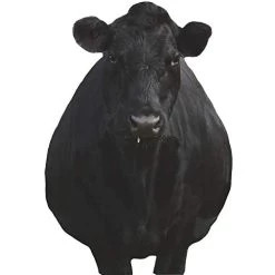 Montana Decoy Company Bessie Moo Cow 0081