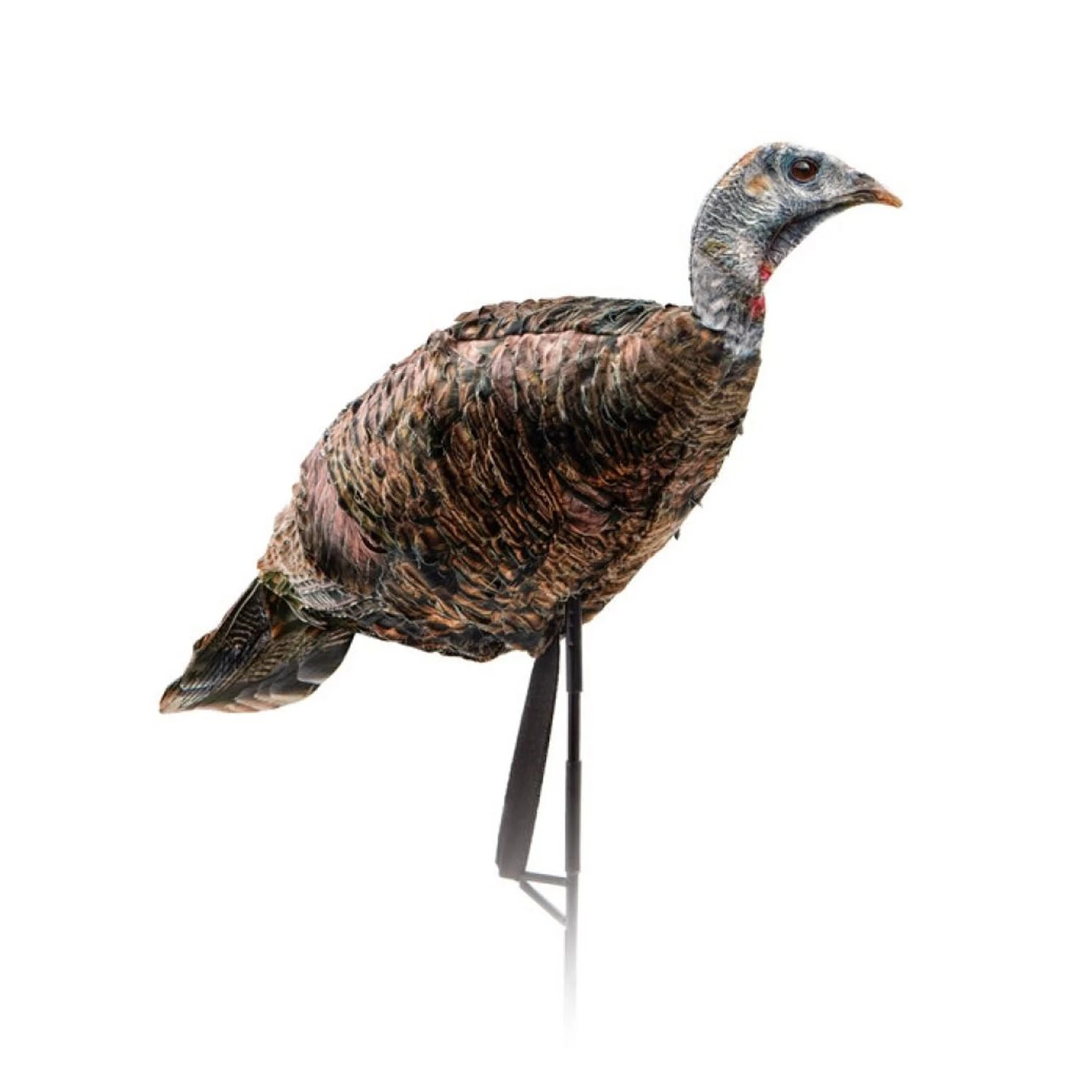 Montana Decoy Company Turkey Miss Purrfect XD Hen 0084 1 Montana Decoy Company Turkey Miss Purrfect XD Hen 0084