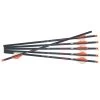 Ravin Crossbows Arrows Bolts 16″ R18 350 Grain .003 6pk R146